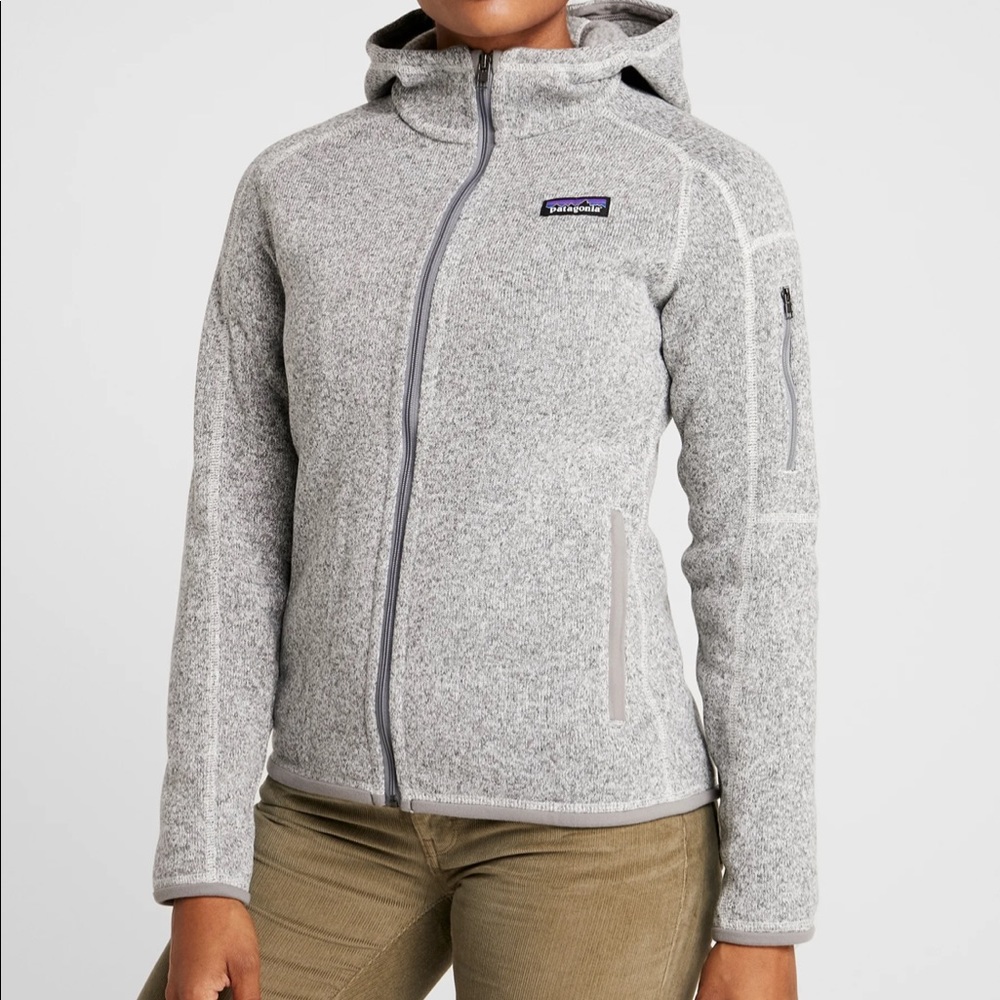 Patagonia Better Sweater Hoodie